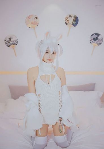 久久嫩草视频