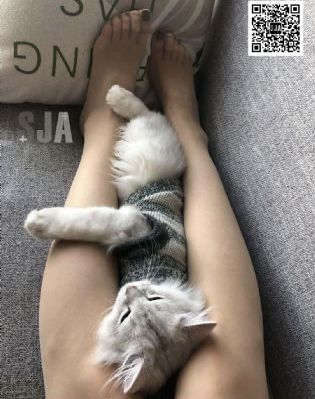 动漫之家动漫网