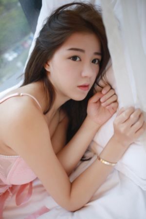 双重任务电视剧
