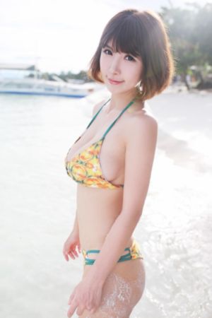 延安锄歼