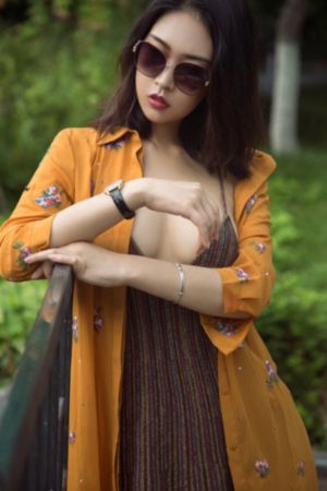 犯罪图鉴2