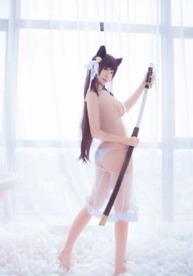 有匪电视剧